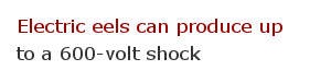 Electricity facts 17