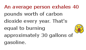 Electricity facts 75