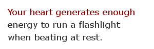 Electricity facts 76