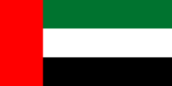 Random state flag
