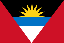 Random state flag