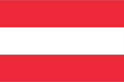Random state flag