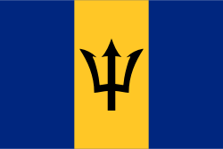 Random state flag