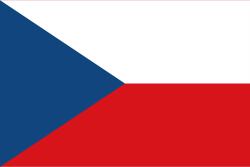 Random state flag