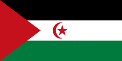 Random state flag