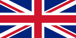 Random state flag
