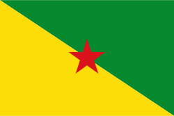 Random state flag