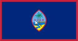 Random state flag