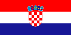 Random state flag
