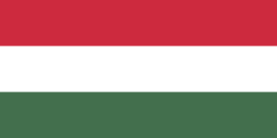 Random state flag