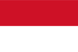 Random state flag