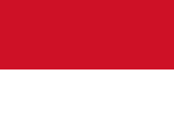 Random state flag