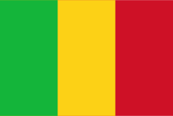 Random state flag