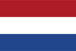 Random state flag