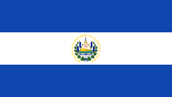 Random state flag