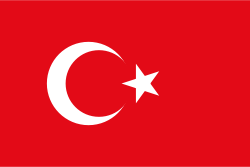 Random state flag