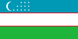 Random state flag